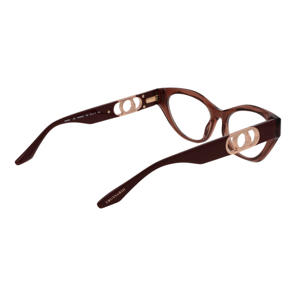 Brown Acetate Glasses (Frames)