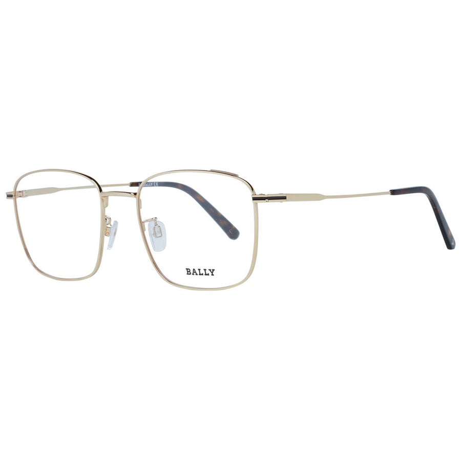 Gold Metal Glasses (Frames)