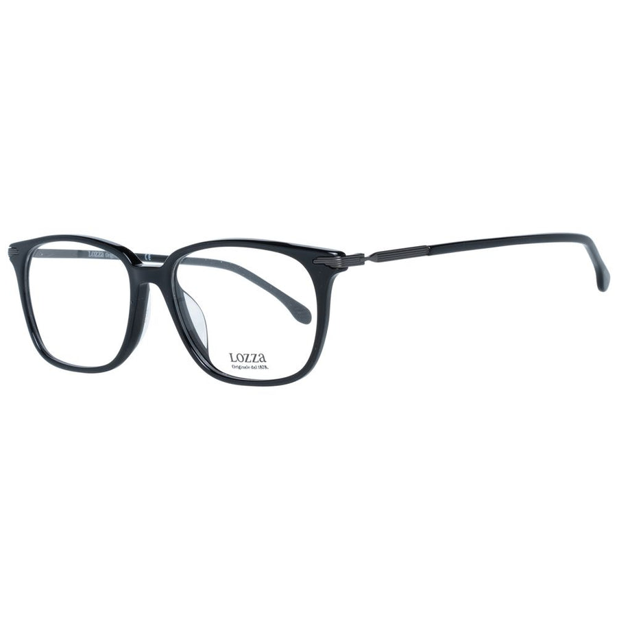Black Plastic Glasses (Frames)