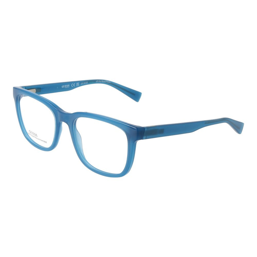 Blue Plastic Glasses (Frames)