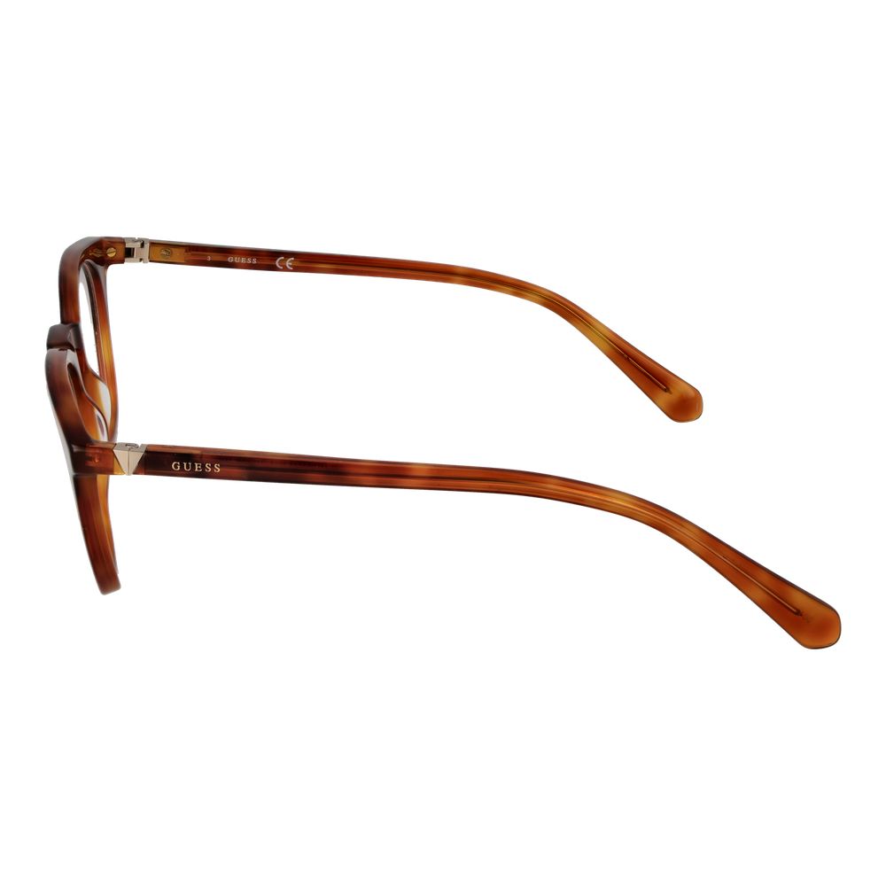 Brown Plastic Glasses (Frames)