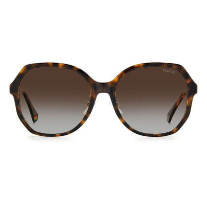 Brown Plastic Sunglasses