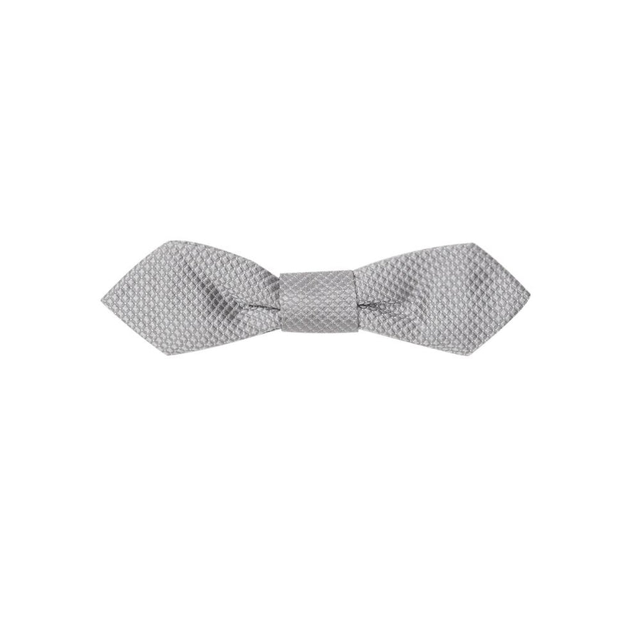 Gray Silk Bowtie