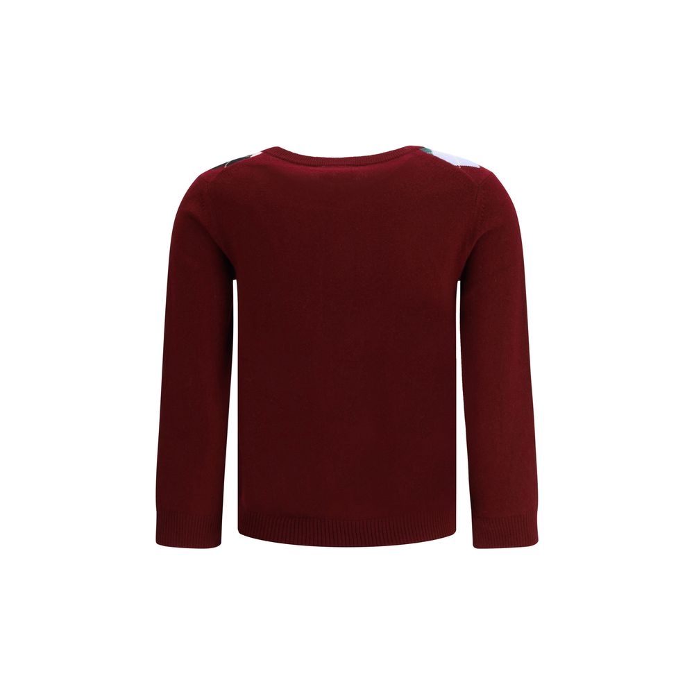 Multicolor Merino Wool Cardigan