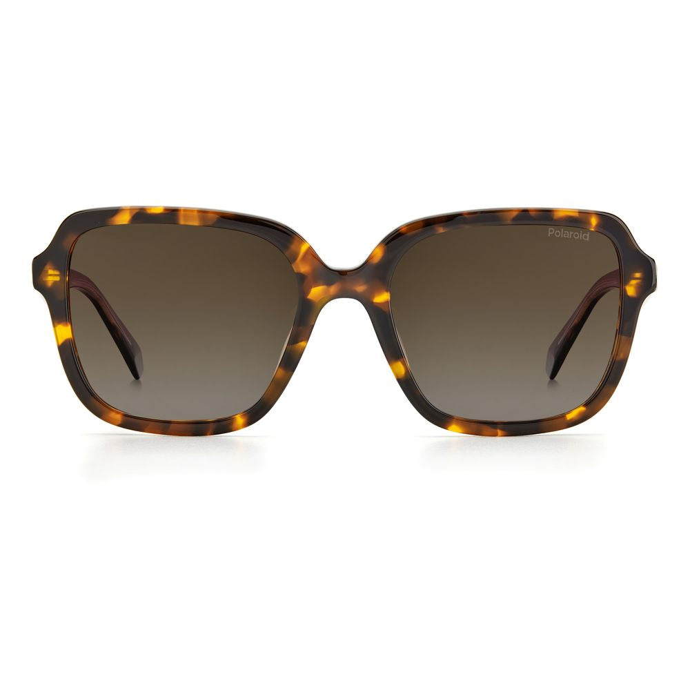 Brown Acetate Sunglasses