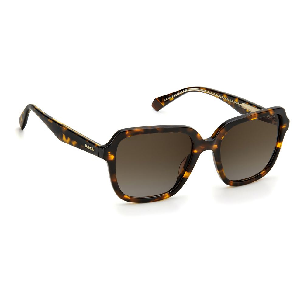 Brown Acetate Sunglasses