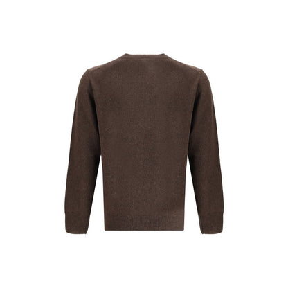 Brown Alpaca Vicugna Pacos Sweatshirt