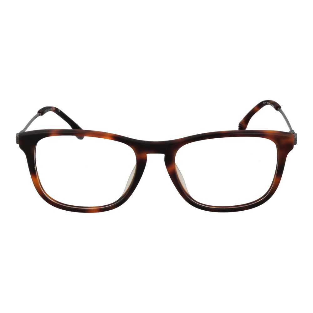 Brown Metal Glasses (Frames)