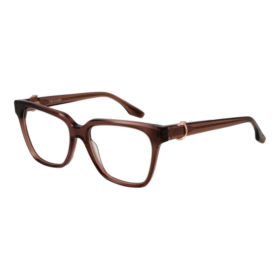 Brown Acetate Glasses (Frames)